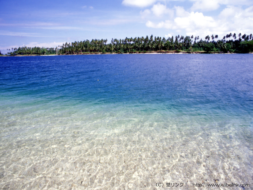 パプアニューギニア Png の無料壁紙