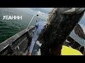 Jigging di Tg. Karang... Osem...