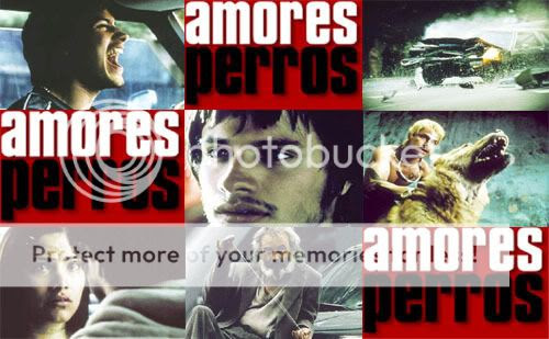 amores perros. amores perros images