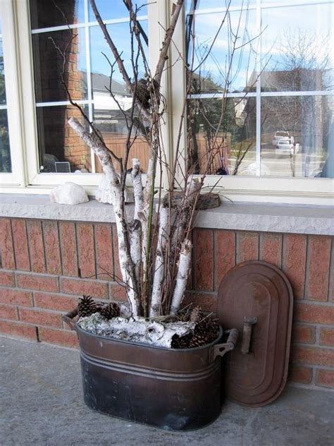mn dnr nabs birch tree bandit trees downed decor