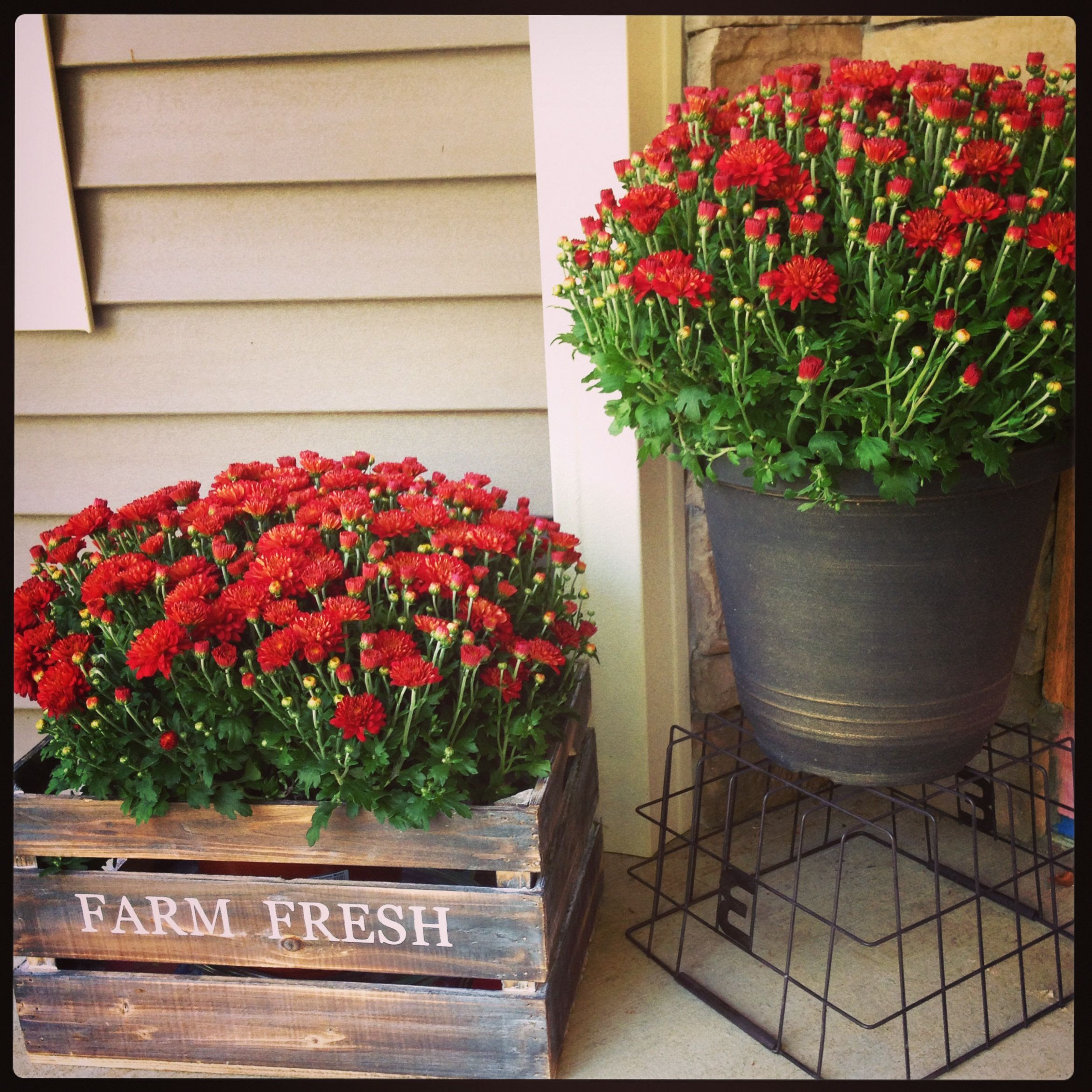 20 Fall Front Porch Decorating Ideas