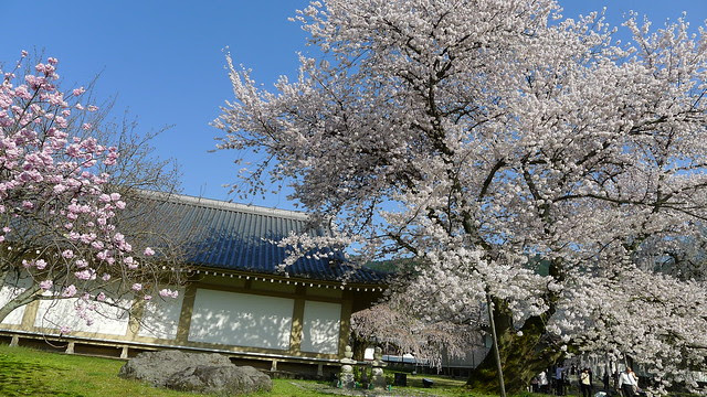 P1030158