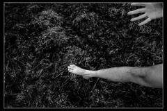 a foot and  a hand