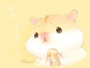 ハムスター 動物 オリジナル Pixiv年鑑 B