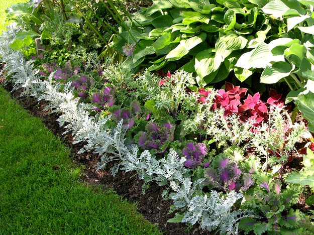Garden Gone Berserk | Garden Design