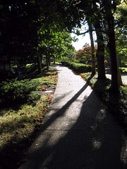 pathway