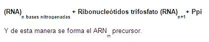 Monografias.com