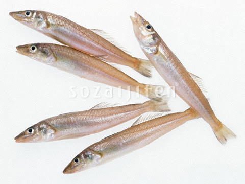 Sozaijiten Com 収録画像