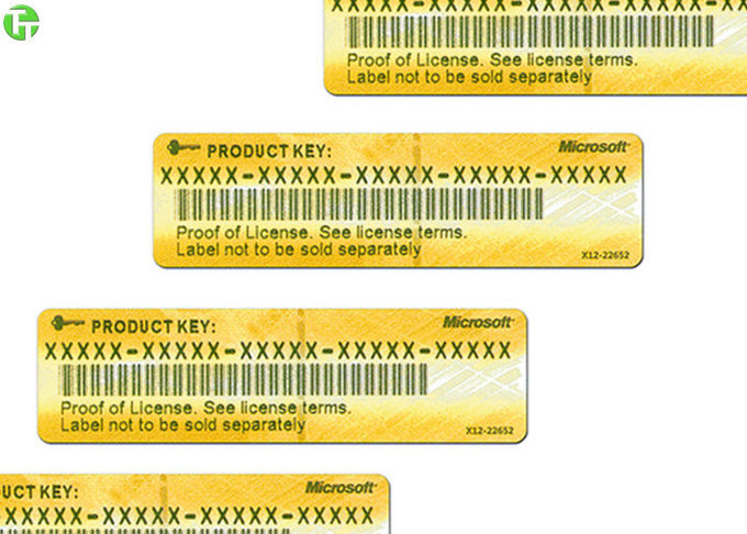 Microsoft Office Professional Plus 2013 Product Key Card Ms