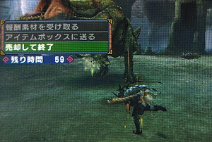 Mhp3 スラッシュアックス５０回 雪に白鷺 日記淡々