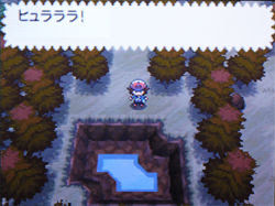 ポケモン ブラック ホワイト 攻略日記 24 キュレム厳選 どうぶつの森 と過ごす日々