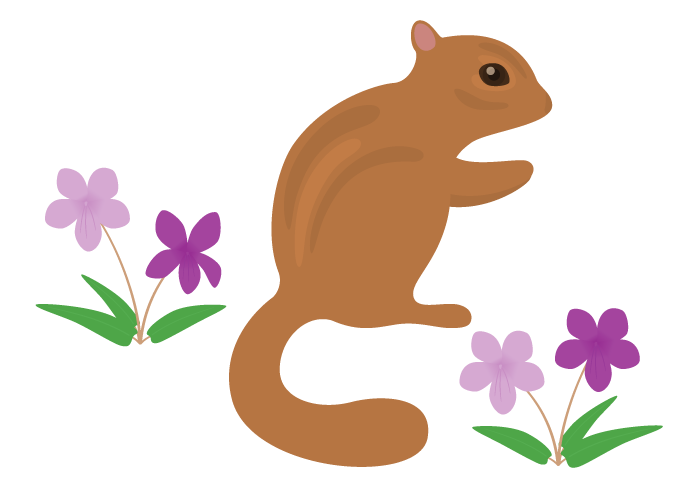 無料ダウンロード フリー リス くるみ イラスト ただの動物の画像