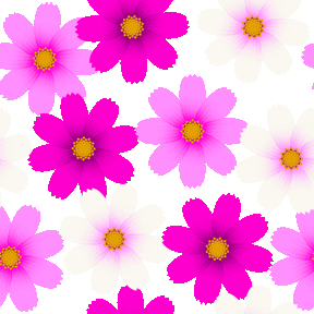 秋桜 No 578 コスモスの壁紙用イラスト 条件付フリー素材集 スマホなど携帯電話対応