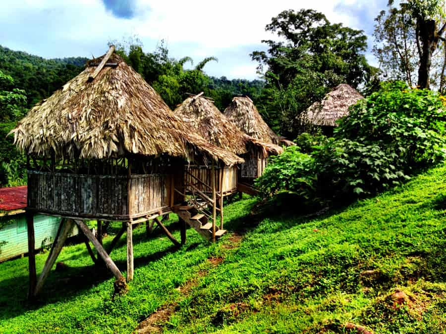 BriBriArtolution An Experience Inside a Bri Bri Village BriBriArtolution An Experience Inside a Bri Bri Village