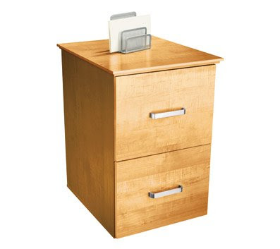 OfficeMax Oak Finish 2-Drawer Vertical File Cabinet ...