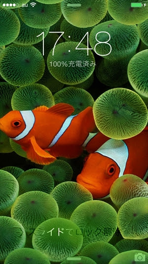 Iphone 6 6 Plusの壁紙を自分好みにしよう おすすめ壁紙サイト5つ 面白いアプリ Iphone最新情報ならmeeti ミートアイ