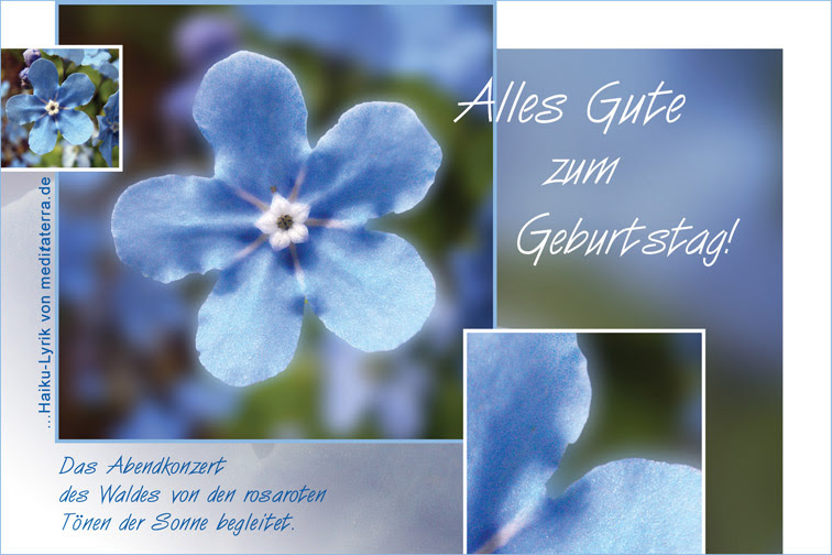 zum geburtstag apecrime download