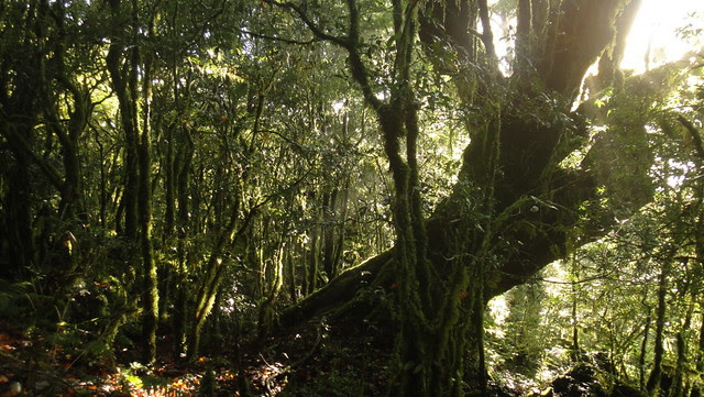 DSC00188