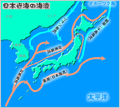 日本海の海流