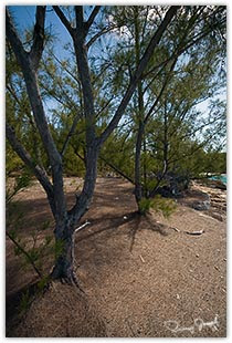 Current Cut Eleuthera