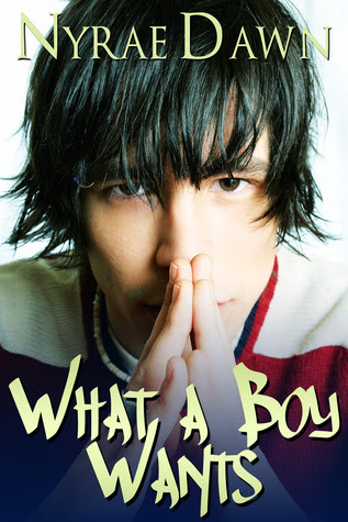 What A Boy Wants (What A Boy Wants, #1)