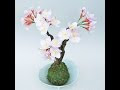 画像 和紙 折り紙 花 109943-和紙 折り紙 花