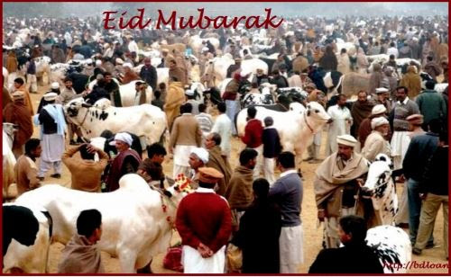 Best 74 English Eid SMS Collection for Eid-Ul-Fitr 2018