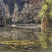 Lago espejo, Estany espill