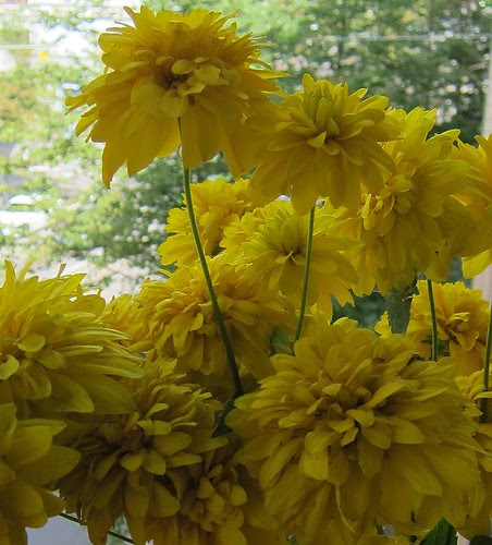 IMG_3969 by Anna Amnell