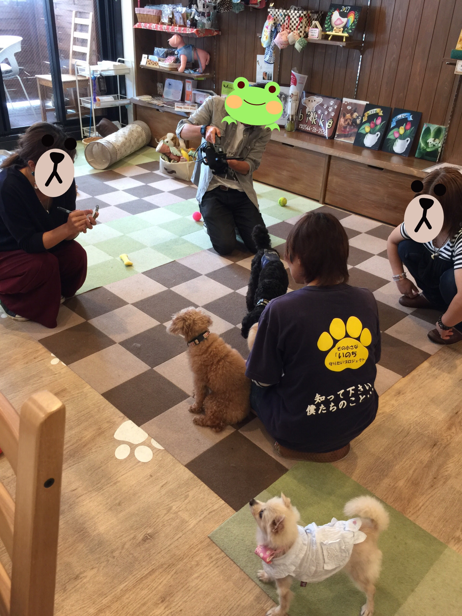 保護犬カフェの取材 ドッグカフェbikke