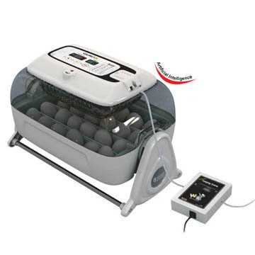Home Made Egg Incubator. incubator