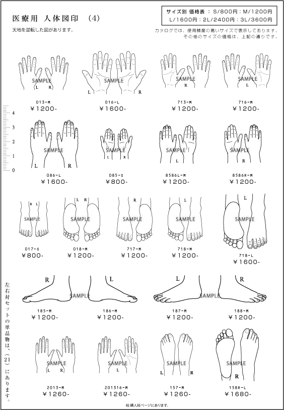 人体図ゴム印 検査図 肺 胃 腹部 乳がん