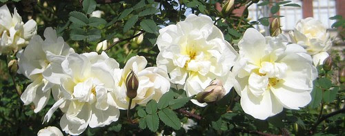 042