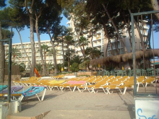 FotografÃ­as de Majorca Beach Hotel - Magalluf - Fotos de Apartamentos