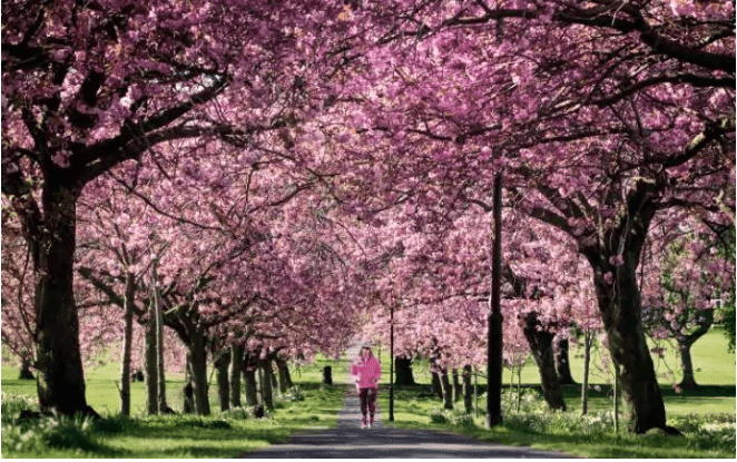 صور من العالم