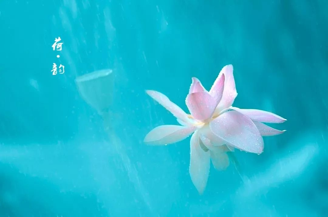经典音乐 一曲 一人静 空灵优美 值得单曲循环