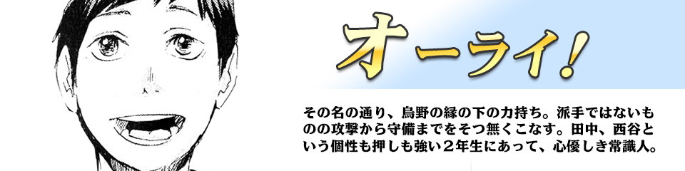 キャラクター Character ハイキュー ドットコム 烏野高校 青葉城西高校 音駒高校 伊達工業高校 日向 翔陽 影山 飛雄 澤村 大地 菅原 孝支 田中 龍之介 月島 蛍 山口 忠 清水 潔子 西谷 夕 東峰 旭 縁下 力 武田 一鉄 烏養 繋心 及川 徹 金田一 勇太郎 岩泉 一 孤爪 研磨