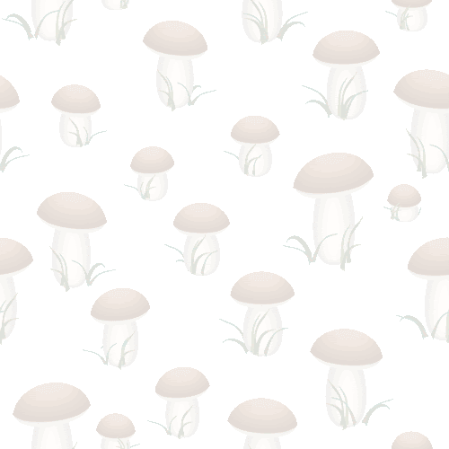 きのこ 茸の壁紙 元画像 無料素材 壁紙tank