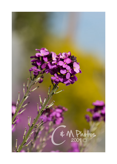 Apr2209_0045ew