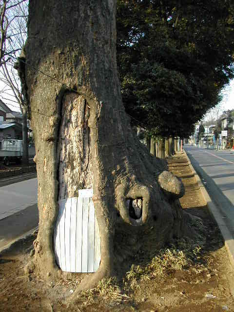 秘密基地