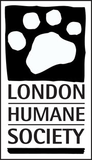 Animal Care Attendant & Front Desk Clerk