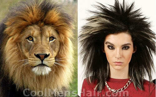 4 Incredible Mens Hairstyles Inspired By Animals – Cool 