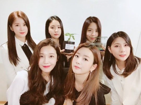 Apinkキム ナムジュ 顔が変わったと整形説が一気に拡散 主要ポータルサイトの検索ワード1位に K Plaza