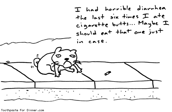 toothpastefordinner.com