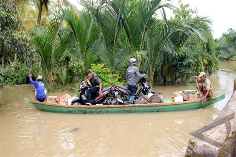 banjir  pandeglang  hektare padi puso antara news