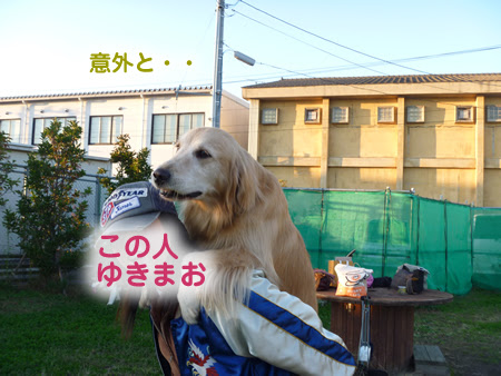茶色もふもふ系ハスキーしずくのブログ 大型犬がおんぶされてる