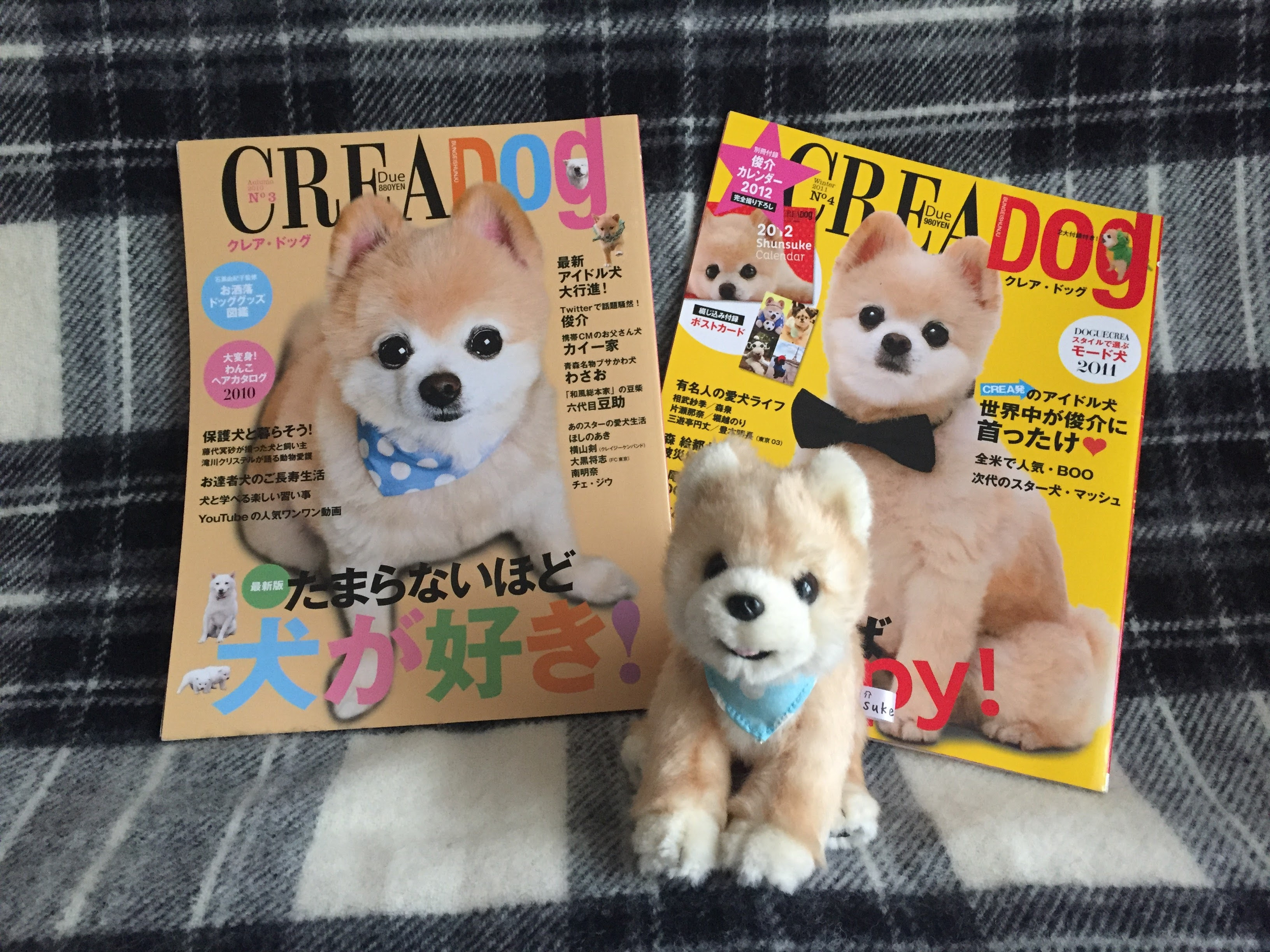 ポメラニアン俊介の思い出 梅津有希子公式サイト