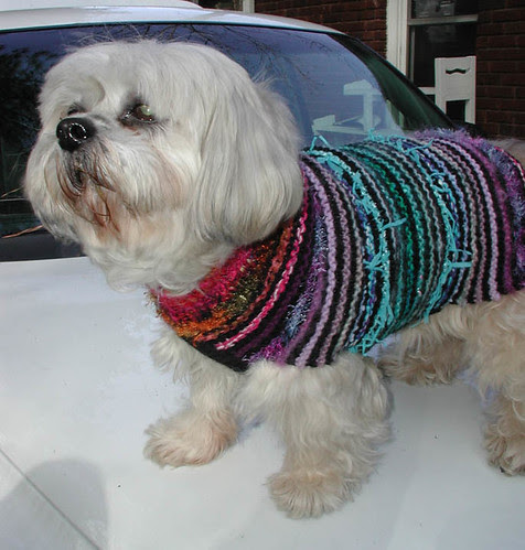 Emily in her sweater 2006