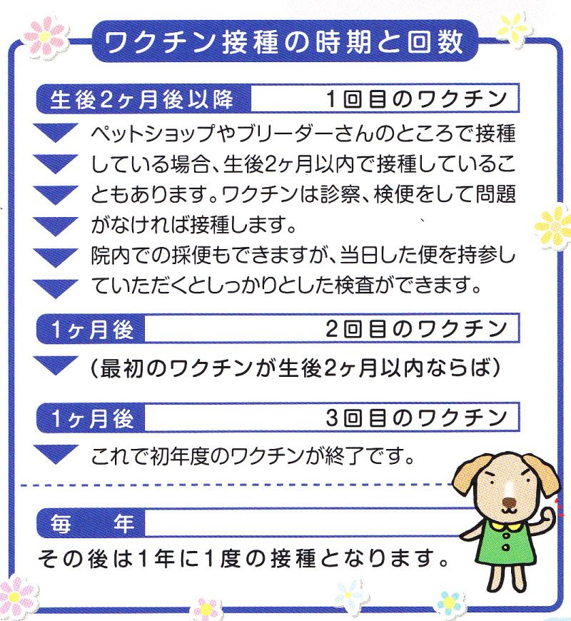 子犬 子猫を迎えたら 小笠原動物病院 病気の話 愛知県刈谷市の動物病院 犬 猫を中心とした予防や手術