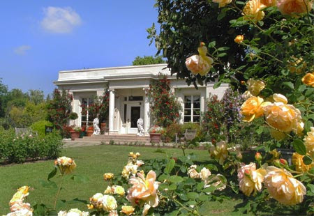 Concepts Beautiful Flower Garden
